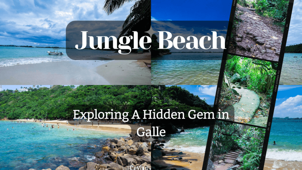 A captivating image capturing the essence of exploring Jungle Beach, a hidden gem in Galle with pristine shores and lush surroundings.