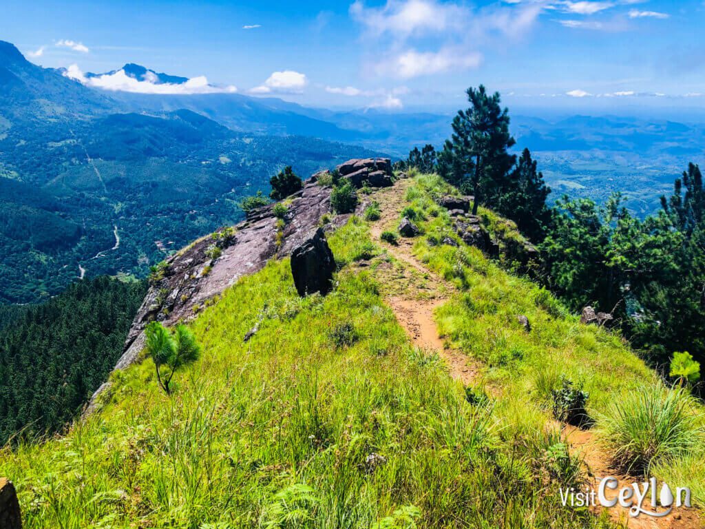 Panoramic view from the summit of Wangedigala 1st Peak, showcasing the scenic beauty of the surrounding landscape.