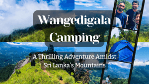 A small preview image representing the Wangedigala camping site, featuring tents against a backdrop of lush forests.